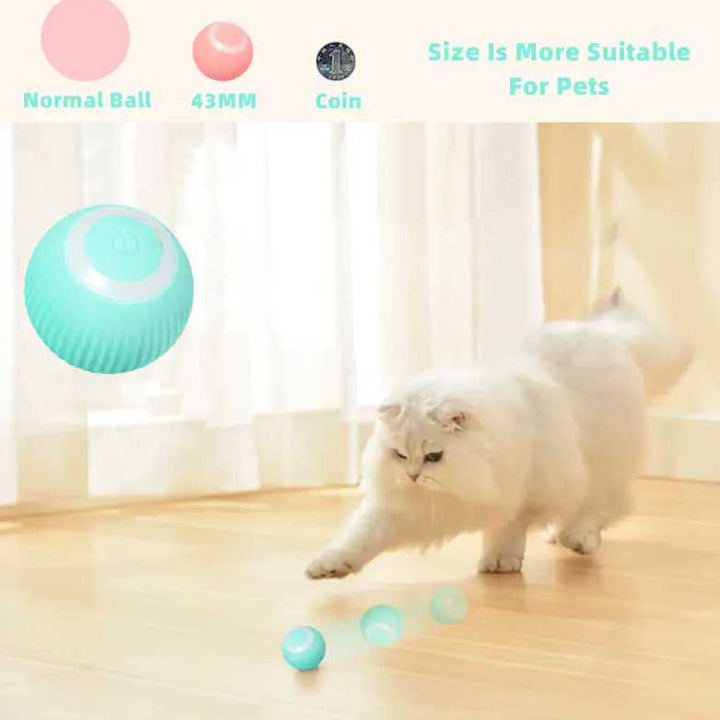 Smart Cat Ball Toys gogodiggity