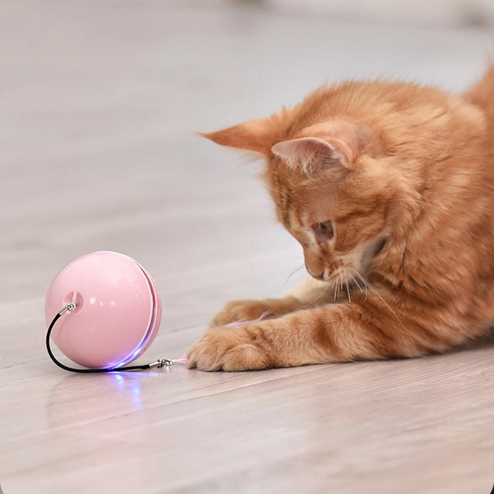 Smart Interactive Cat Toy Colorful LED Self Rotating Ball With Catnip Bell and Feather Toys USB Rechargeable Cat Kitten Ball Toy gogodiggity